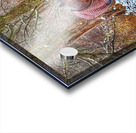 Galloping Horse Acrylic print