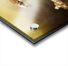 Lunch Time Acrylic print