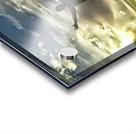 Top of the world Acrylic print