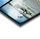 Driftwood Beach Panorama Quadtych Acrylic print