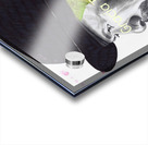 Santana flowerly Acrylic print