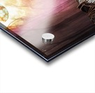 Tora no Oza or The Tiger Throne Acrylic print