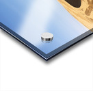 CRW_6896 Acrylic print