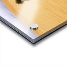 Desert flower 1 Acrylic print