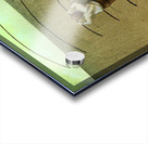 Freedom Acrylic print