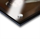 Portrait of Crescentia Bourgin by Joseph Karl Stieler Classical Art Xzendor7 Old Masters Reproductions Acrylic print