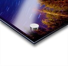 forest star trails  Acrylic print