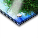 The Katahdin Tree Acrylic print