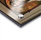 The Innocent Swan by Elisabeth Sonrel Acrylic print