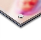 Screams through the Silhouette  Acrylic print