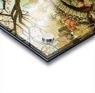 Central Park Acrylic print