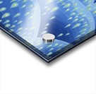 1993 03_1 Acrylic print