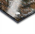 Telephone Box Acrylic print