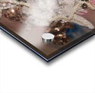 Land of Ice Acrylic print