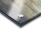 Before the Storm VI Acrylic print