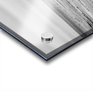 Monterey Peninsula 1399 Acrylic print