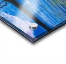 The Fall Acrylic print