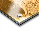 Cal Bear Cheerleader Acrylic print