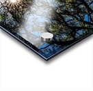 Wormsloe Plantation   Savannah 04433 Acrylic print