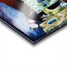 1996 02 Acrylic print