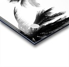 Ipanema B&W Acrylic print