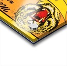 missouri tigers football ticket stub wall art ticket stub metal signs Acrylic print