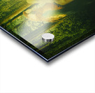 Kingdom Acrylic print