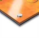 cleveland browns watercolor poster retro sports art reproductions metal signs football prints wood Acrylic print