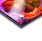 Crocus Acrylic print