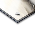 Frozen Lake Acrylic print