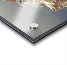 Castle Mountain Acrylic print