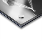 The Paradise of Reflections  Acrylic print