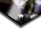 Papillon sur une fleur - butterfly beauty Acrylic print