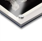 flying eye Acrylic print