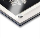 half of freedom Acrylic print