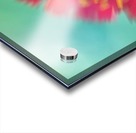 Joes Flower Acrylic print