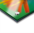 Toms Flower Acrylic print