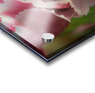 Coronation Acrylic print