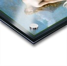 Venus by Alexandre Cabanel Old Masters Fine Art Reproduction Acrylic print