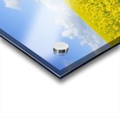 landscape nature2 Acrylic print