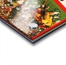 1982 USC Trojans vs. Oklahoma Sooners Acrylic print