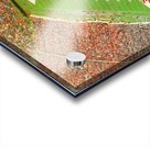 1985 NC State Carter Finley Stadium Art Acrylic print