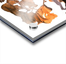 Leaves Series Acrylic print