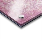 Cherry blossom Acrylic print