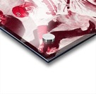 1968 washington senators baseball slide art Acrylic print