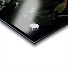 Bust at the Hotel California Acrylic print