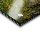 Fall Colors over a Country Road Acrylic print