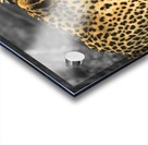 Leopard Acrylic print