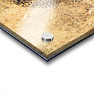 Leopard Acrylic print