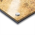 Leopard Acrylic print